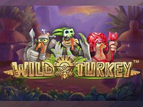 Wild Turkey